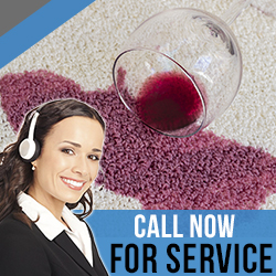 Contact Carpet Cleaning Services